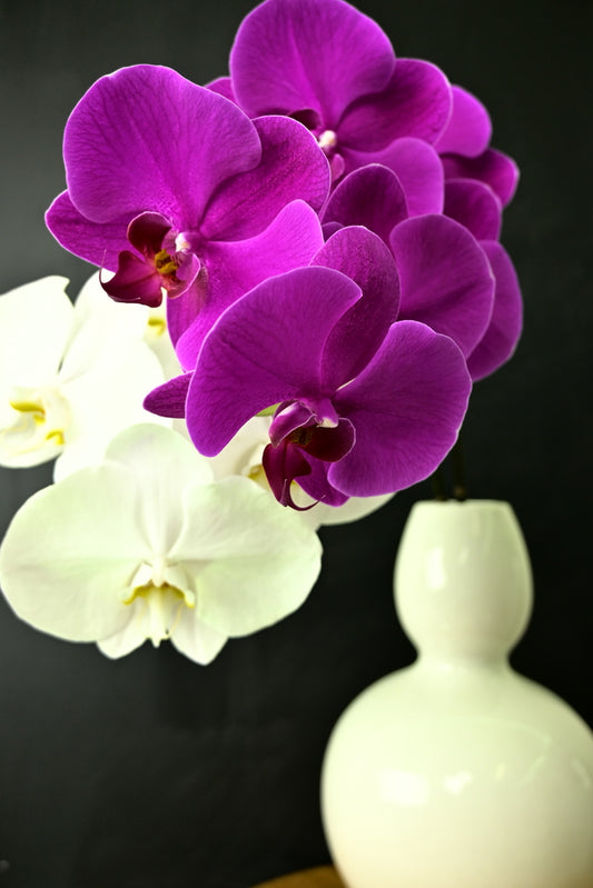 mother's day flowers delivery Canberra