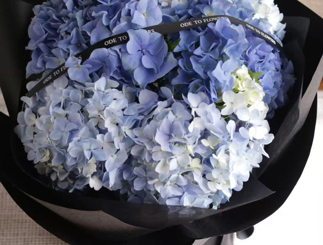 A bunch of blue hydrangea