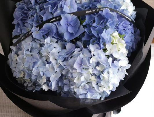 A bunch of blue hydrangea