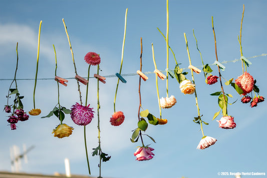 A row of fresh flowers is clipped to a clothesline
