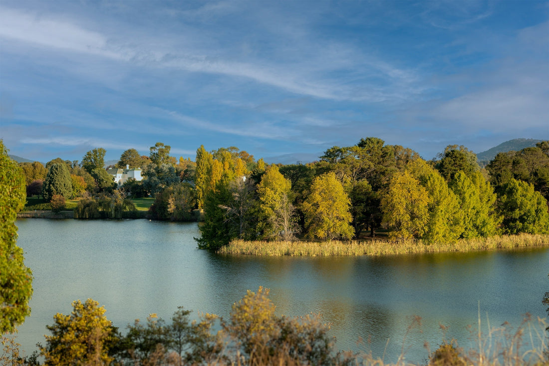 How do I choose a flower delivery service in Canberra?