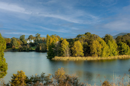 How do I choose a flower delivery service in Canberra?