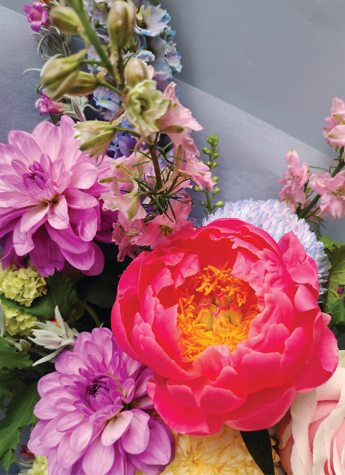 Florist Choice