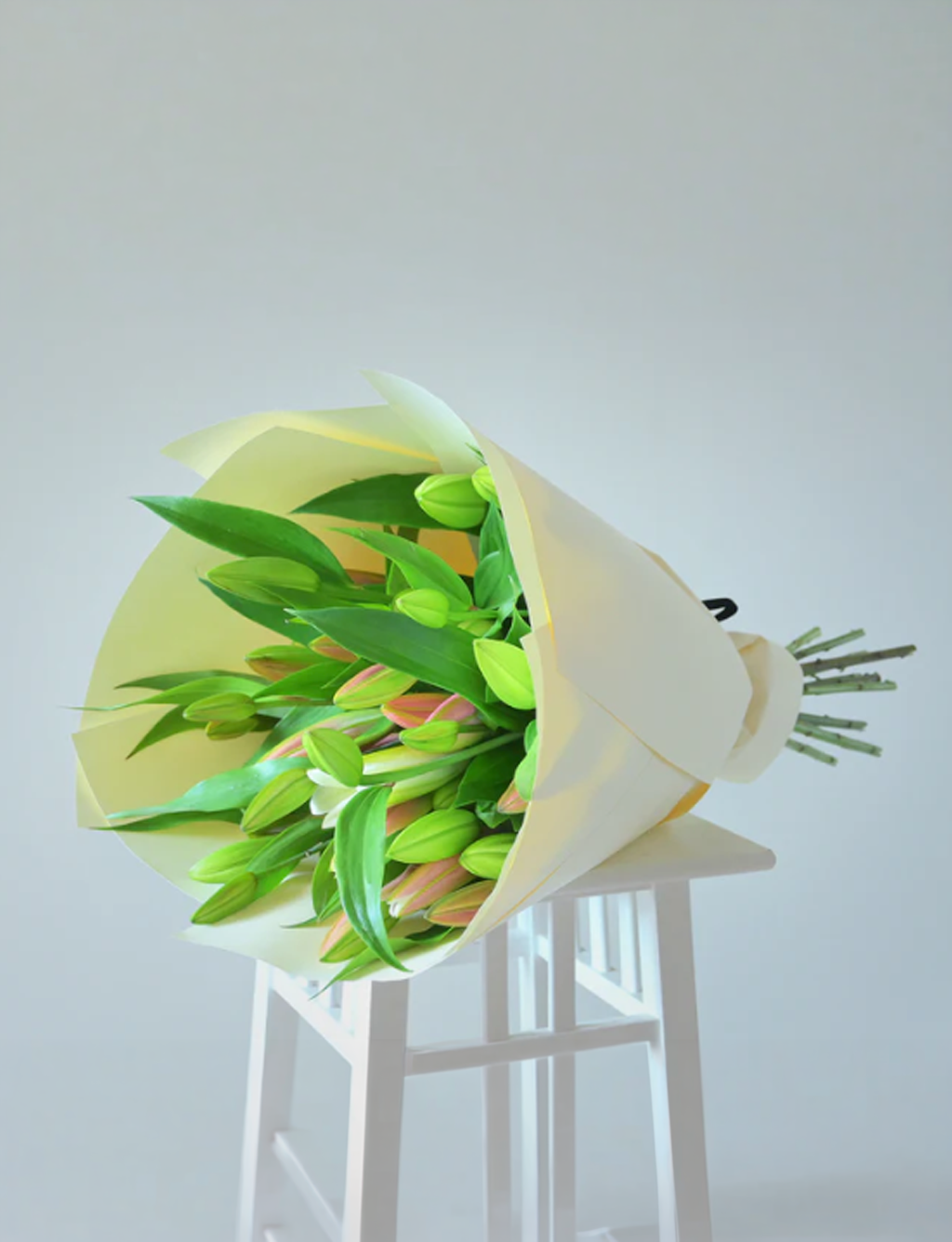 “Just Lily”