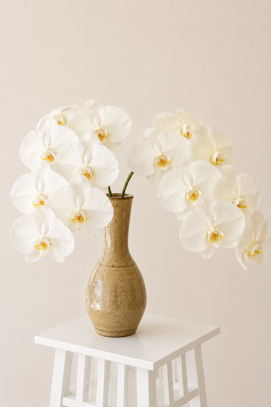 Orchid