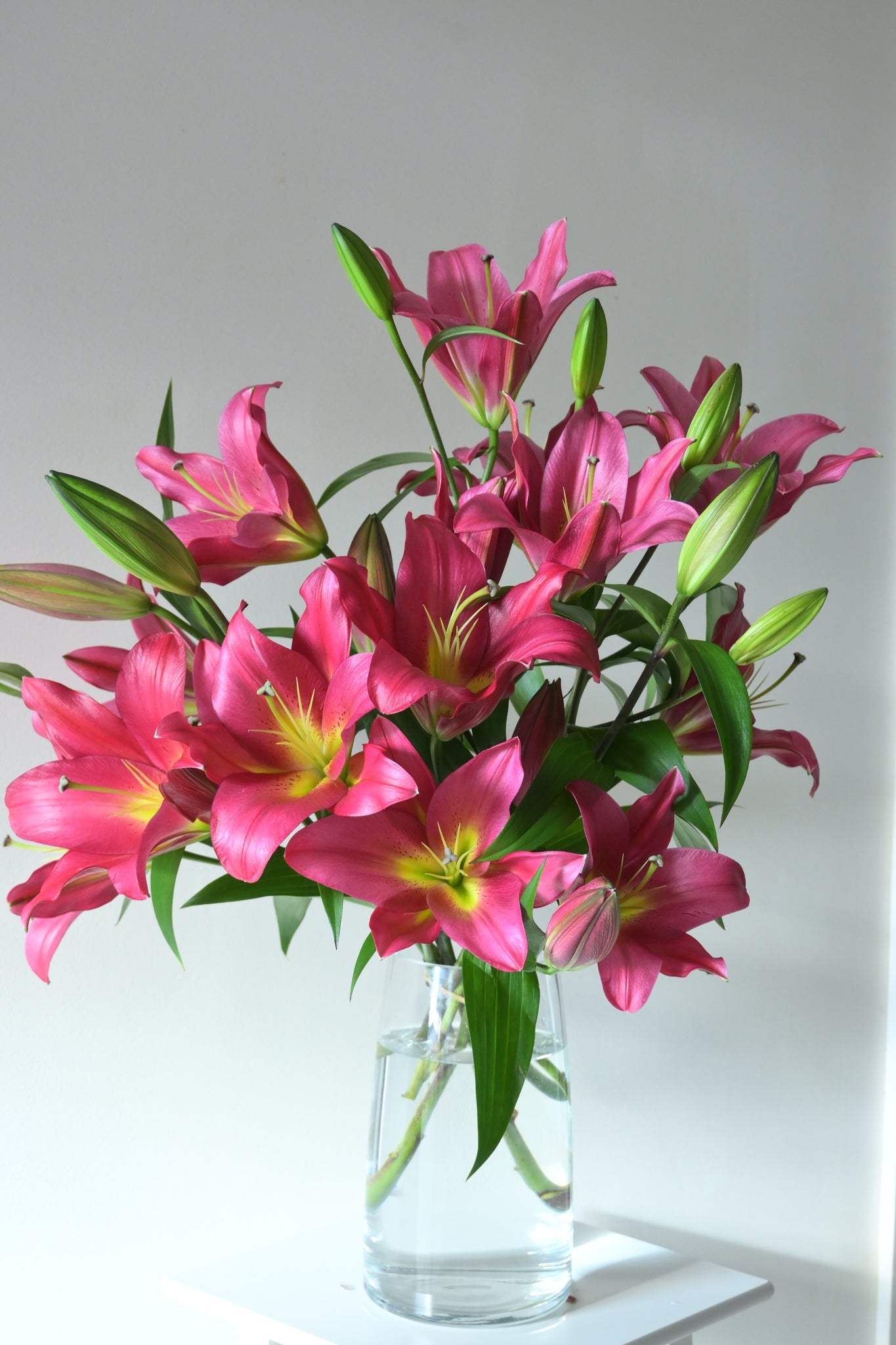 Premium Oriental Lily Arrangement