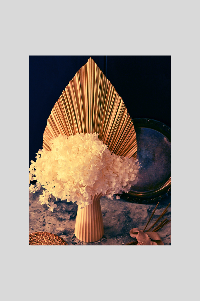 Same Day Flower Delivery Canberra Florist In Canberra