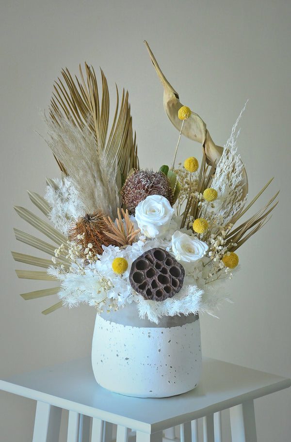 Preserved Flowers In Canberra Same Day Delivery